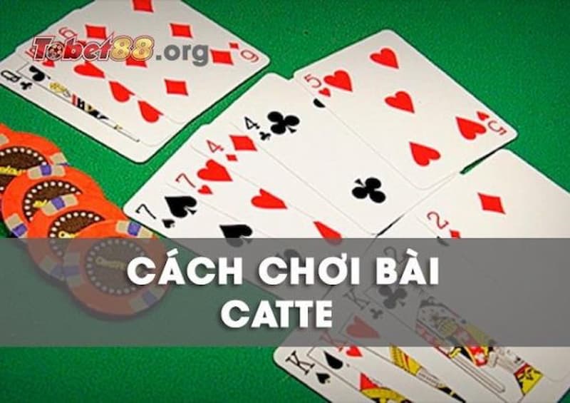 thuật ngữ cần phải nhớ rất nhiều 